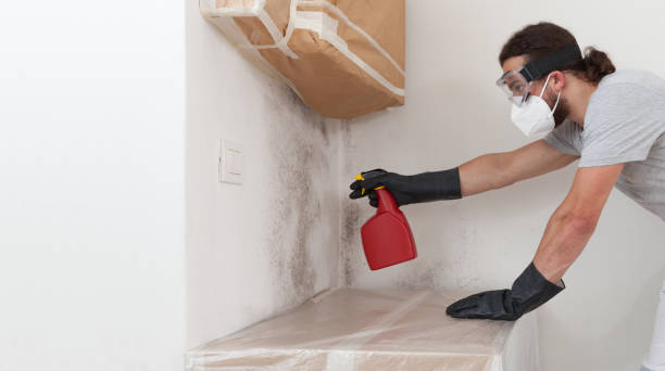 Professional Attic Mold Remediation technician working in Winchester, IL