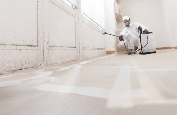 24/7 Emergency Attic Mold Remediation experts in Winchester, IL