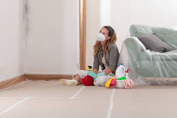 Reliable Attic Mold Remediation contractor in Winchester, IL by 24 Hour Mold Removal